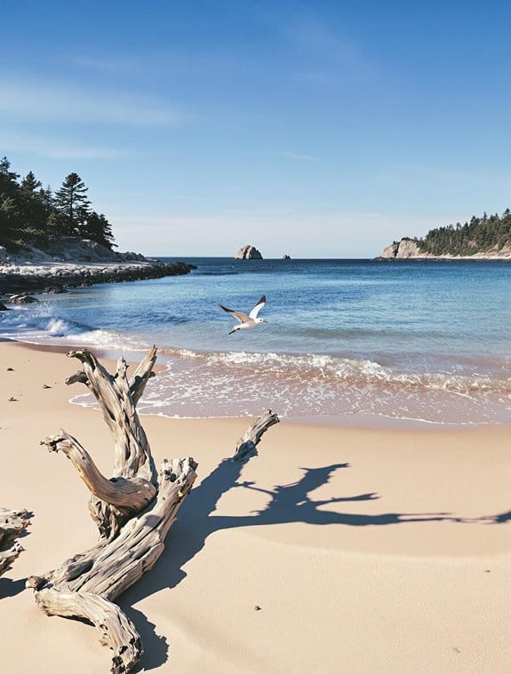serene coastal retreats await